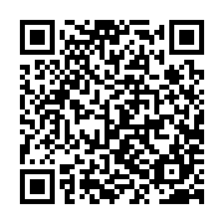 QR code for NPD 384