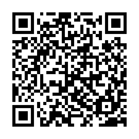 QR code for NPE 294