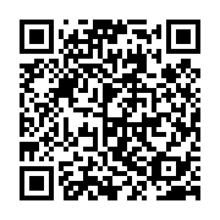 QR code for NPE439