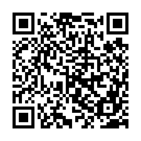 QR code for NPE666