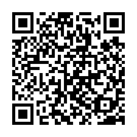 QR code for NPE699