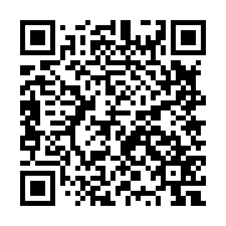 QR code for plate NPE 877