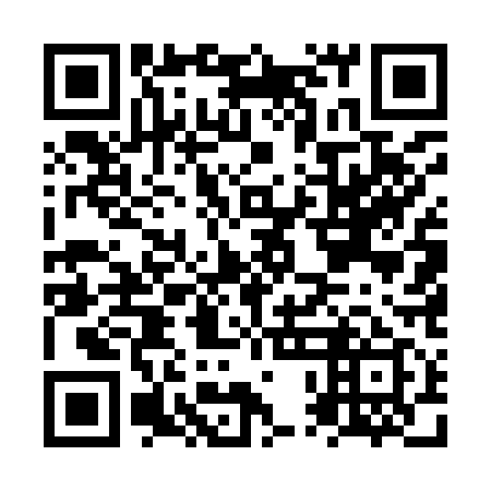 QR code for plate NPE 919