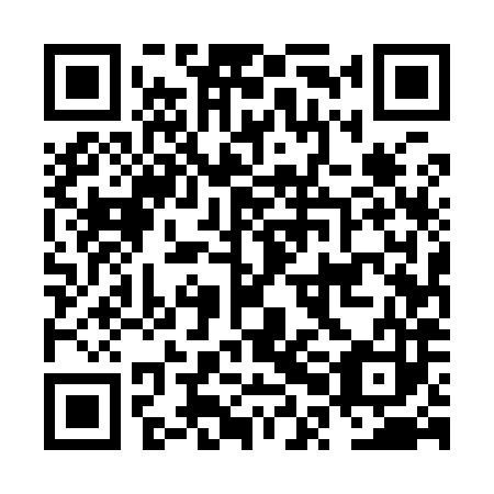 QR code for plate NPE 983