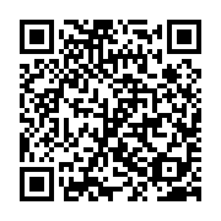 QR code for plate NPF 199