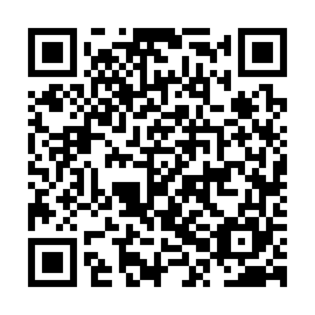 QR code for plate NPF 365