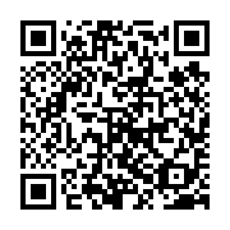 QR code for plate NPF 699