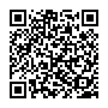 QR code for plate NPG 079
