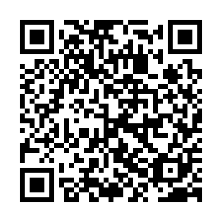 QR code for plate NPG 301