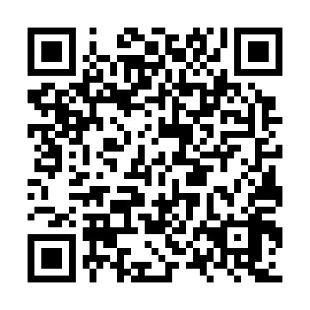 QR code for plate NPG 318