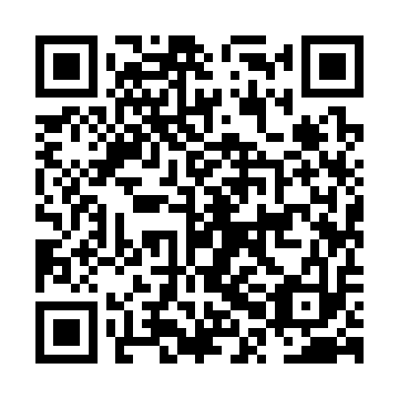 QR code for NPI 313
