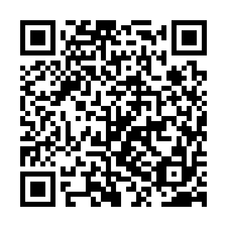 QR code for plate NPI 312