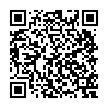 QR code for plate NPI 611