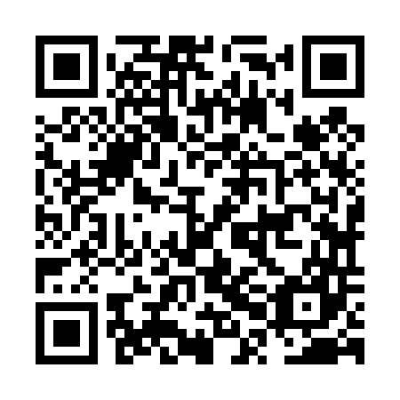 QR code for plate NPJ 447