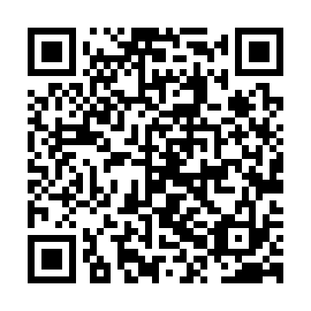 QR code for NPL 333