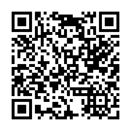 QR code for NPL 386