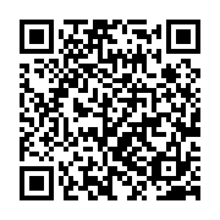 QR code for plate NPL 133