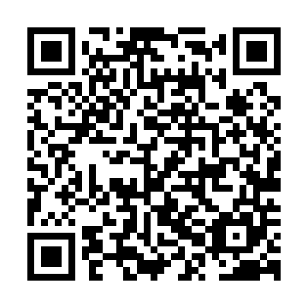 QR code for plate NPL 145