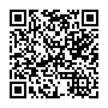 QR code for plate NPL 344