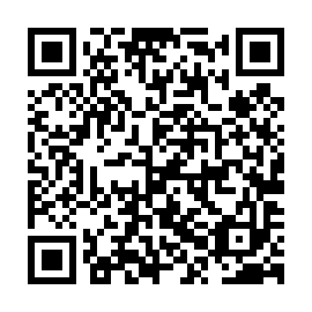 QR code for plate NPL 493