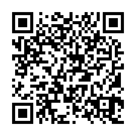 QR code for NPM 920