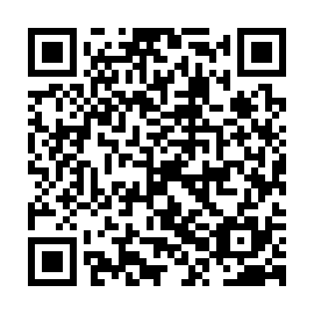 QR code for plate NPM 335