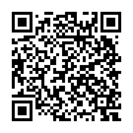 QR code for plate NPM 601