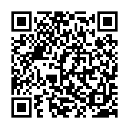 QR code for NPN 293