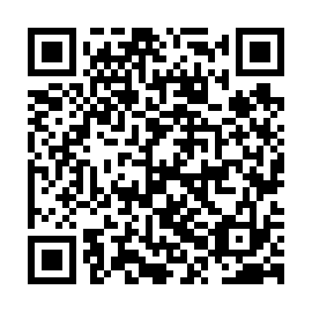 QR code for plate NPN 633
