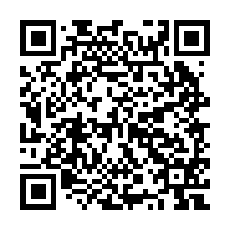 QR code for NPP 294