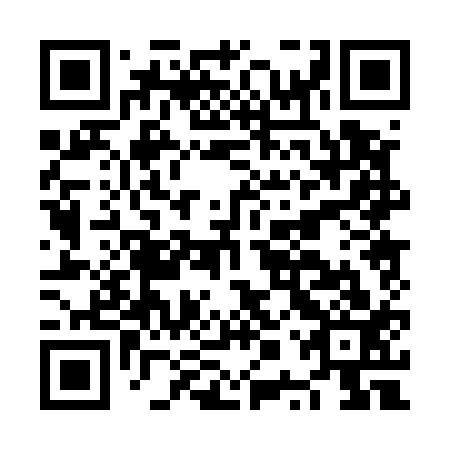QR code for NPP 513