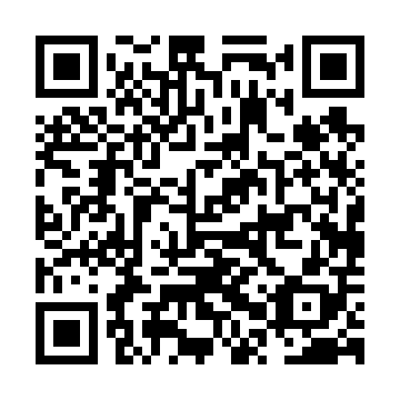 QR code for NPP 608
