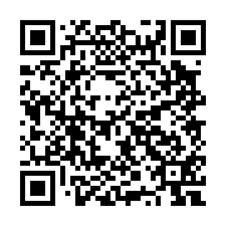 QR code for plate NPP 011