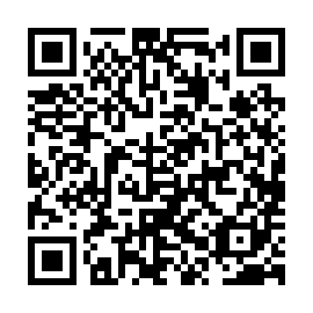 QR code for plate NPP 281