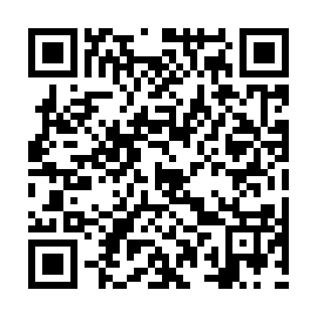 QR code for plate NPP 917