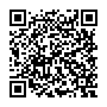 QR code for NPP955