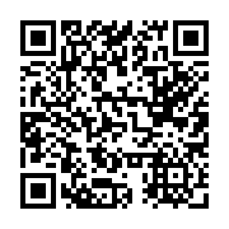 QR code for plate NPT 386