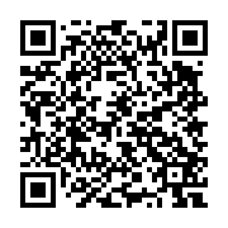 QR code for plate NPU 403