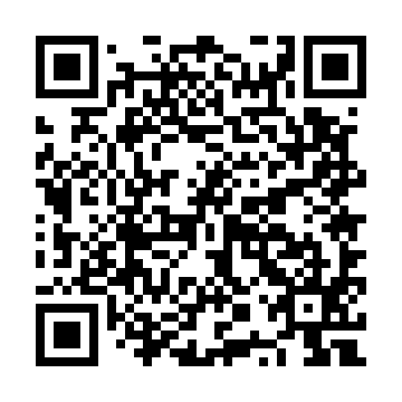 QR code for plate NPU 595