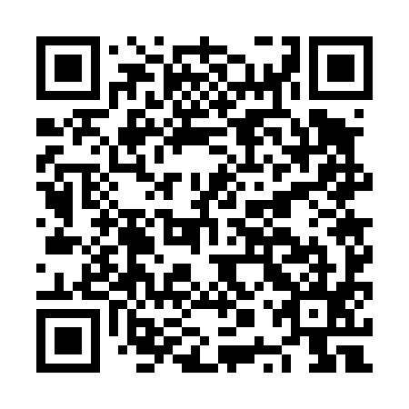 QR code for plate NPW 495