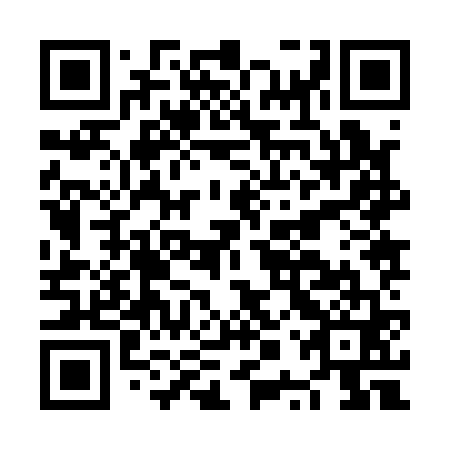 QR code for NPZ 161