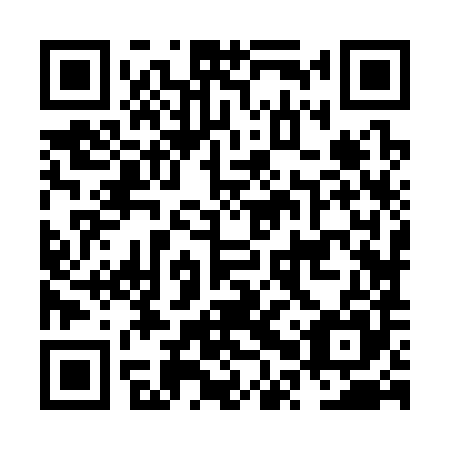 QR code for NPZ385
