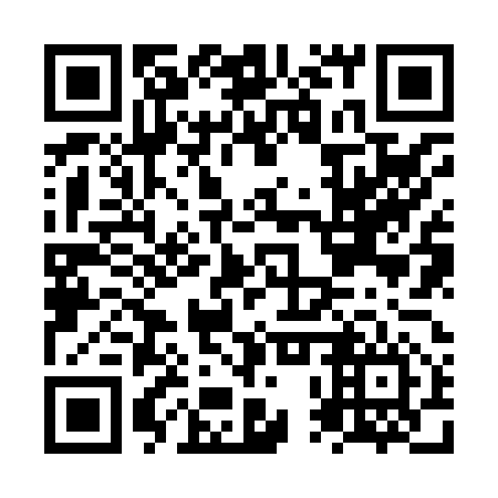 QR code for plate NPZ 856