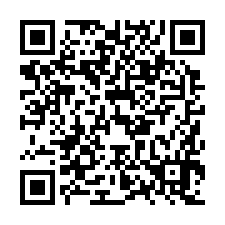 QR code for NQ 0394