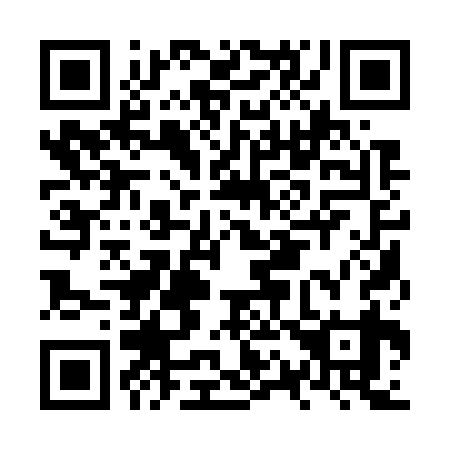 QR code for NQ 1739