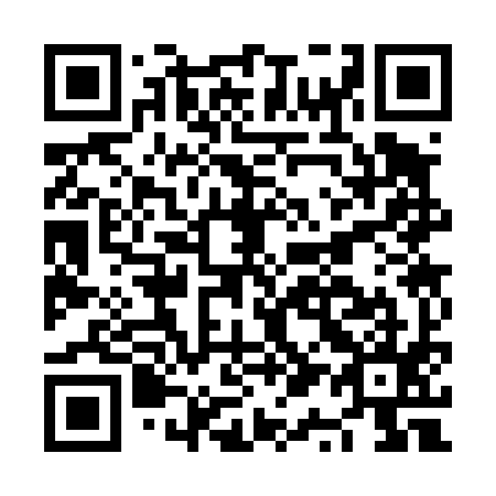 QR code for NQ 3495