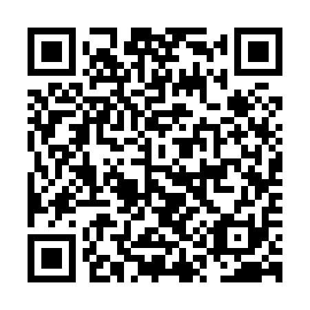 QR code for NQ3811