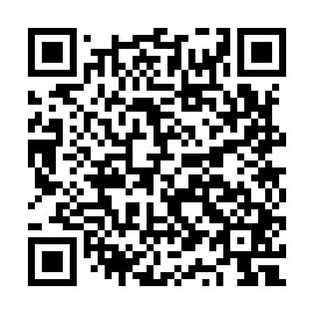 QR code for NQ3941