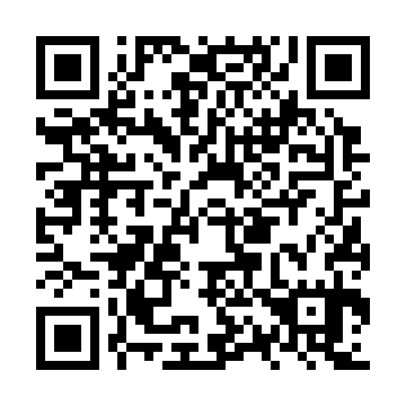 QR code for plate NQ 6335