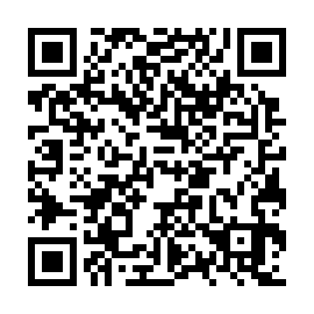 QR code for NQ7333